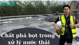 KHỬ BỌT TRONG XỬ LÝ NƯỚC THẢI NGÀNH THỦY SẢN – GIẢI PHÁP ỔN ĐỊNH HỆ THỐNG TỪ CHUYÊN GIA